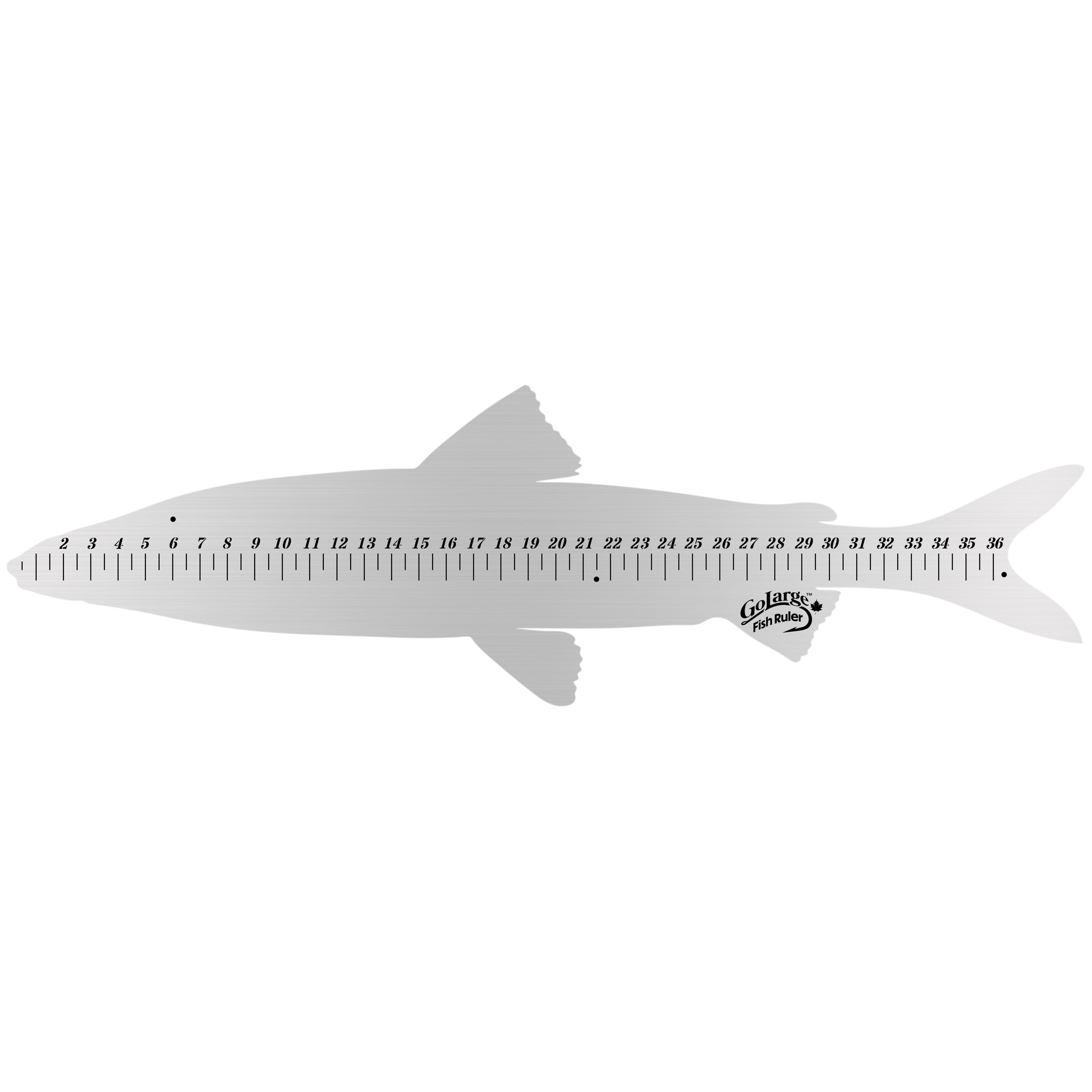 Go Large™ Fish Ruler